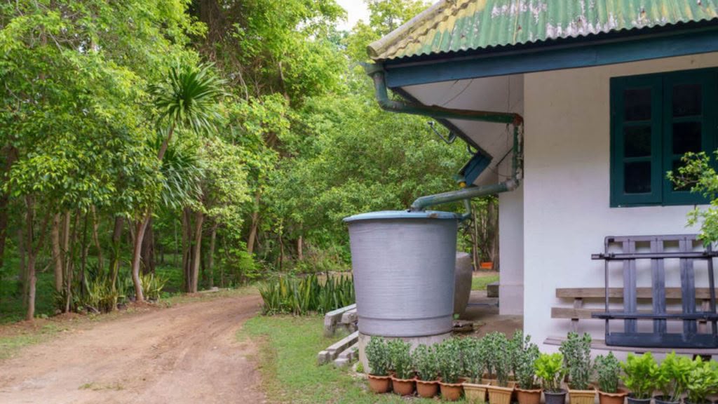 Rainwater Management